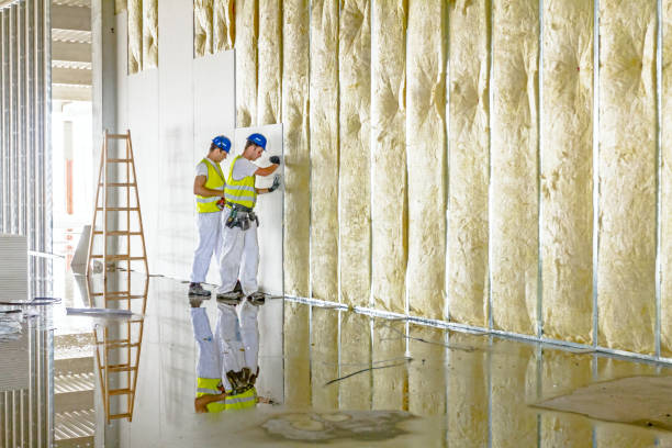 Best Attic Insulation Installation  in Seat Pleasant, MD